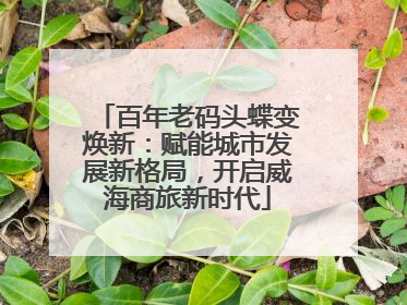 百年老码头蝶变焕新：赋能城市发展新格局，开启威海商旅新时代